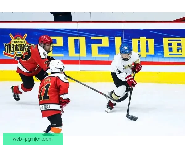 冰球狂热：打破传统，开启新时代